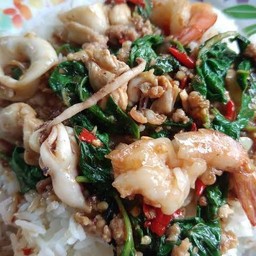 กะเพรารวมมิตรราดข้าว+ไข่ดาว