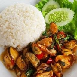 ผัดกะเพราเนื้อหอยแมลงภู่ ราดข้าว