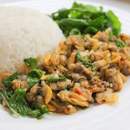 ข้าวราด กะเพราเนื้อหอยลาย