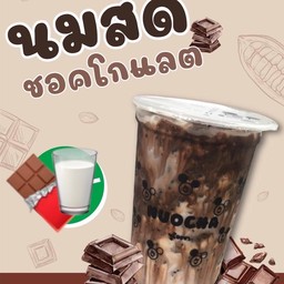 นมสดชอคโกแลต