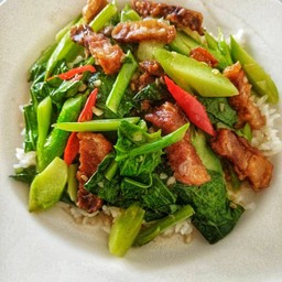 ผัดคะน้า