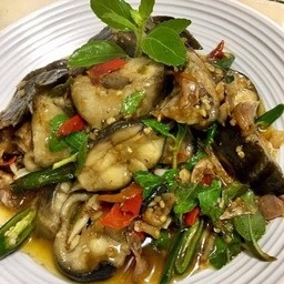 ผัดกระเพาปลาดุก(ไม่ทอดกรอบ)ราดข้าว