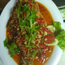 ปลากระพงสามรส