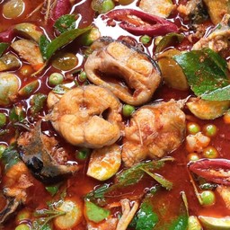 แกงป่าปลาดุกเป็นกับ