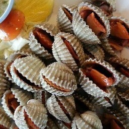 หอยแครงลวก