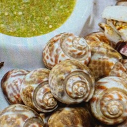 หอยหวานเผา