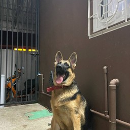 ทิปน้องมารวย อยากให้เพิ่มเมนูอะไรสั่งได้นะคะ โทรมาที่ร้าน