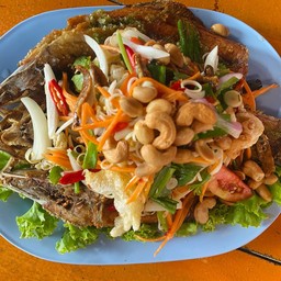 ปลากระพงลุยสวน