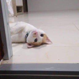 ทิปผู้จัดการอั่งเปา