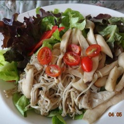 สลัดเห็ดรวม