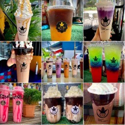 เมาชา สาขา 1 สาขา ซอยกลับ