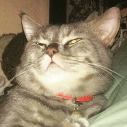 บัวลอยนพรัตน์ ปากซอยวัดศรีประวัติ