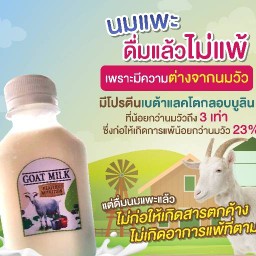 นมแพะ ตลาดประชารัฐ