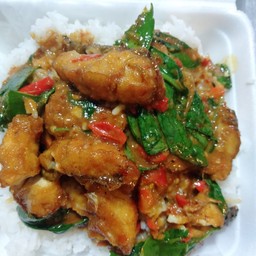ข้าวราดพริกแกงปลากะพง