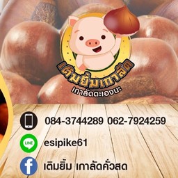 เติมยิ้มเกาลัดคั่วสด งานหนังสือ มช