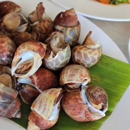 หอยหวานลวก