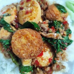 ข้าวกะเพราเต้าหู้หมูสับ