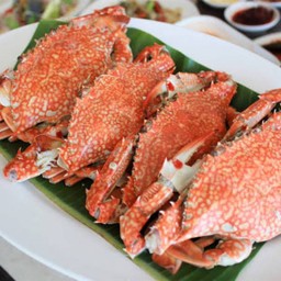 Live ปูม้าเป็นนึ่ง 1 กิโล