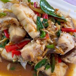 ฉลามผัดฉ่าา
