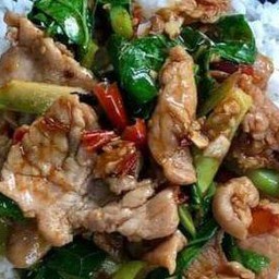 ผัดคะน้าหมูชิ้น ราดข้าว
