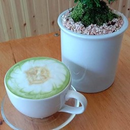 ชาเขียว ร้อน