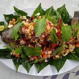 มุมสบายสบายและเย็นใจคอฟฟี่ รังสิต-นครนายก27