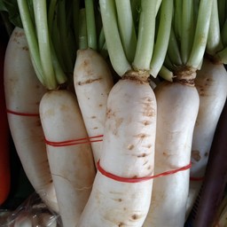 หัวไชเท้า