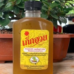 น้ำเก๊กฮวย