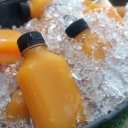 นานาน้ำส้ม นัดสมอโพรง