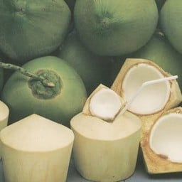 มันส์ดาเล มะพร้าวน้ำหอมราชบุรี