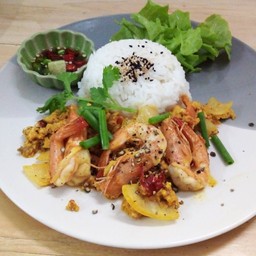 ข้าว+ผัดผงกระหรี่กุ้ง