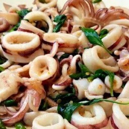 ข้าวราดกระเพราปลาหมึก+ไข่ดาว