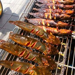 ปลาดุกย่าง