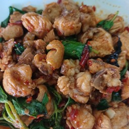 กะเพราไก่เป็นกับข้าว