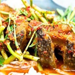 แป๊ะซะปลาช่อน