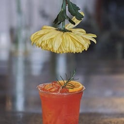 Valenciary (วาเรนเซียรี)