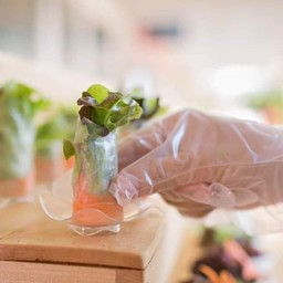 สลัดโรลไส้ปูอัดพันแป้ง 6 ชิ้น