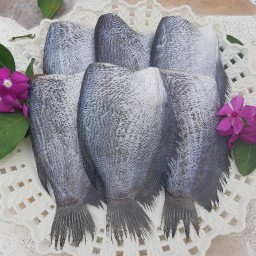 เจ้ทับทิม ปลาแดดเดียว