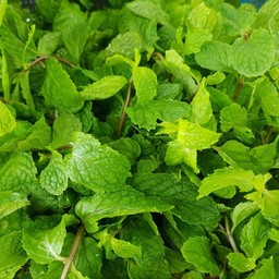 ร้านเจ๊แอ๋วตลาดเอี่ยม