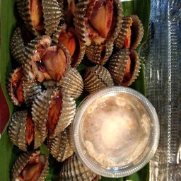 หอยแครงลวก1โล