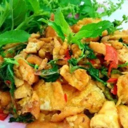 ข้าวกระเพราะไก่+ดาว(หรือไข่ต้ม)