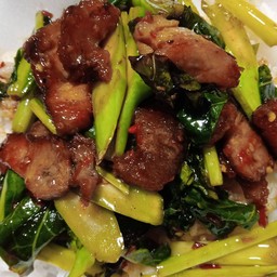 ผ้ดคะน้าราดข้าว