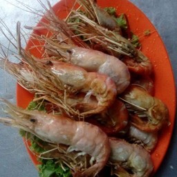 ร้านไรหนาบมุสลิมนครศรีฯ ร้านไรหนาบมุสลิมนครศรีฯ