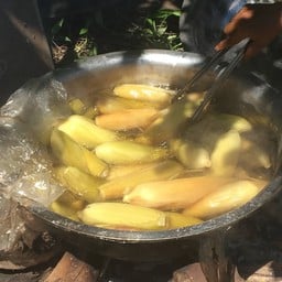 YY