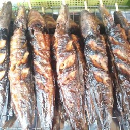 ปลาดุกย่าง