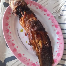 ปลาดุกย่าง