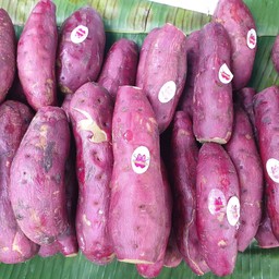 เจ๊ตุ่น ข้าวโพดต้ม @ตลาดวัดลุ่ม(เย็น)
