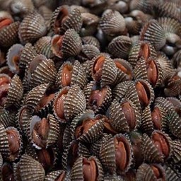 ร้านขายหอย น้ำชานม&ขนมบราวนี่