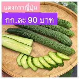 แตงกวาญี่ปุ่น