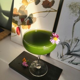 rose matcha